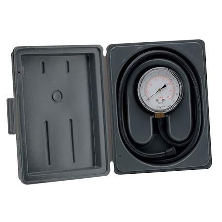 Noshok Low Pressure Gauge, 0 to 10 inH2O psi, 2-1/2 in Dial, 1/4 in NPT, Back Location, Steel Case Material 25-210-10-inH2O-CFF